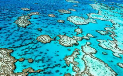 Paddock to Reef Program: united for Reef outcomes