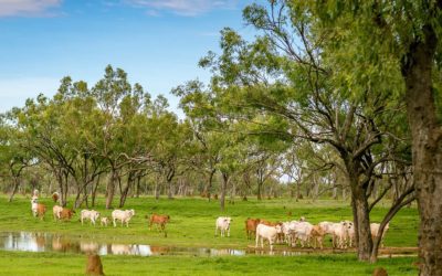 Our Value Proposition for natural resource management in Queensland