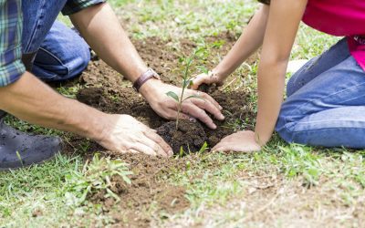 Ecosure and NRMRQ: Delivering for Queensland’s Nature Refuges