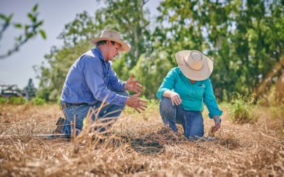 Research Prospectus for natural resource management in Queensland