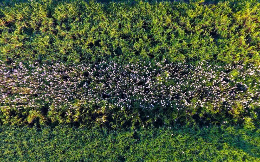 Native vegetation, soils and sustainable farming the focus of natural resources funding