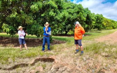 Supporting stronger soil health in Queensland’s Northern Gulf – Gulf Savannah NRM