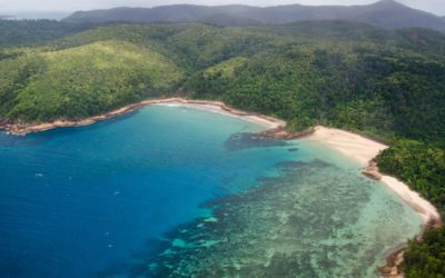 Regional communities deliver big outcomes for the Great Barrier Reef