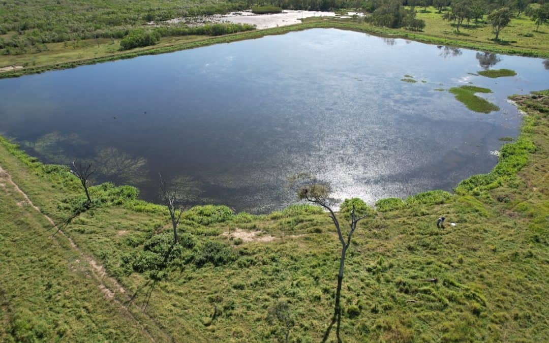 Sandringham Wetlands Complex – Reef Catchments