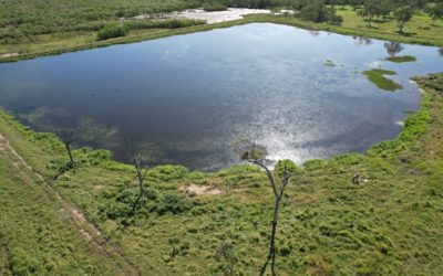 Sandringham Wetlands Complex – Reef Catchments