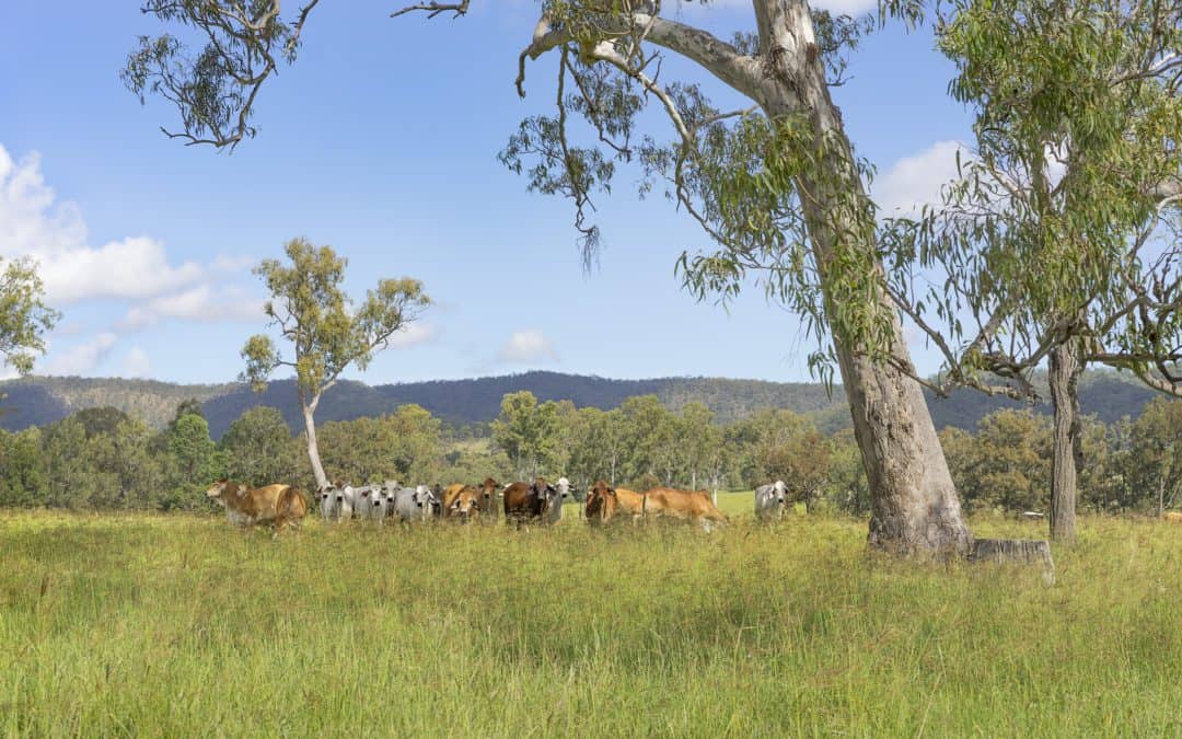 Queensland’s NRM sector backs independent EPA