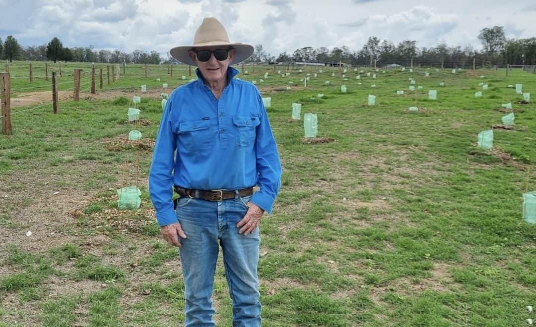 Enhancing remnant native vegetation in the Burnett