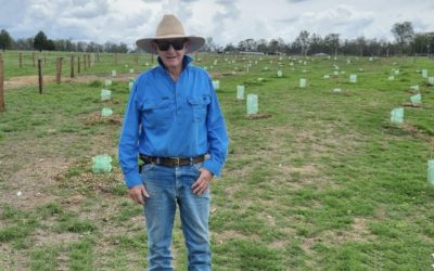 Enhancing remnant native vegetation in the Burnett