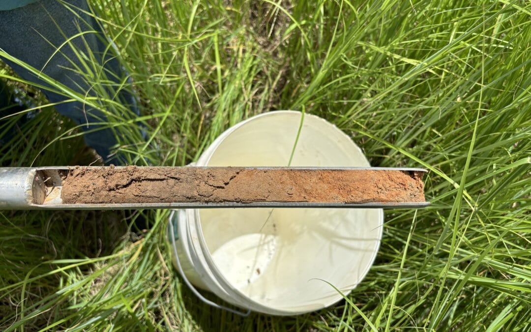 Queensland’s NRM organisations support national soil monitoring effort