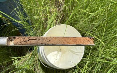 Queensland’s NRM organisations support national soil monitoring effort