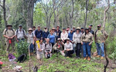 Building NRM data collection skills for state-wide impact