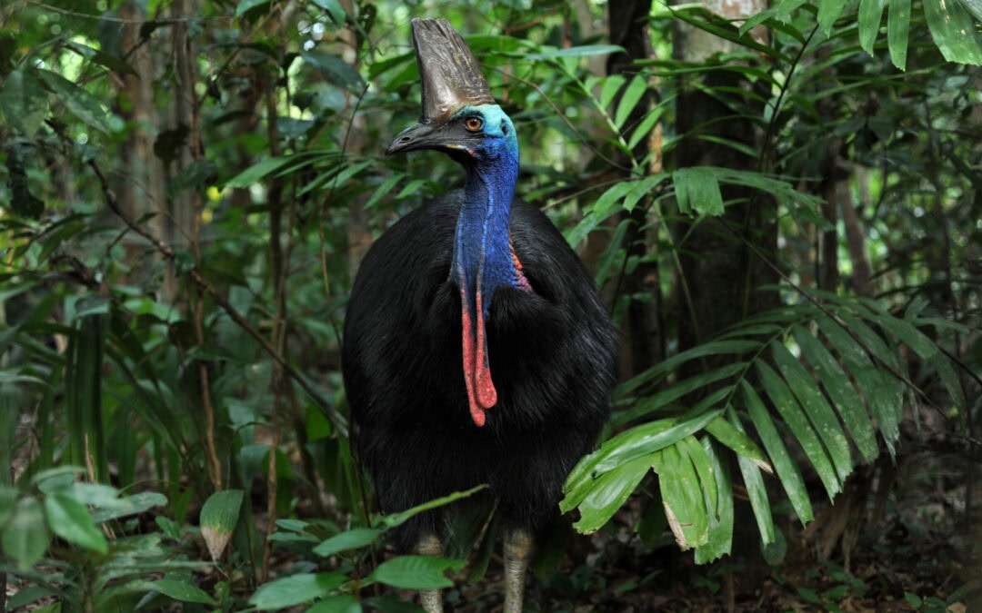 First four projects announced for $117.84 million Natural Resource Management Expansion Program