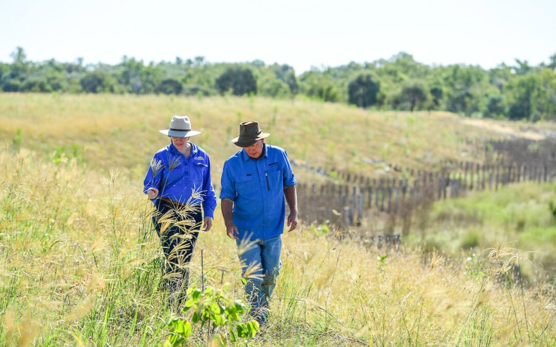 North Queensland secures $10 million NRM Expansion Plan boost to weed out environmental threats