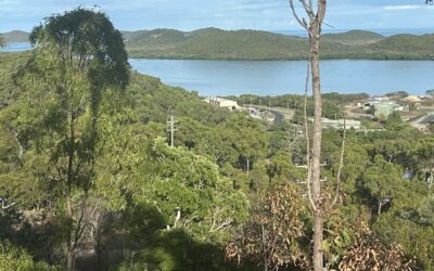 Visiting the Torres Strait, Australia’s northernmost NRM region