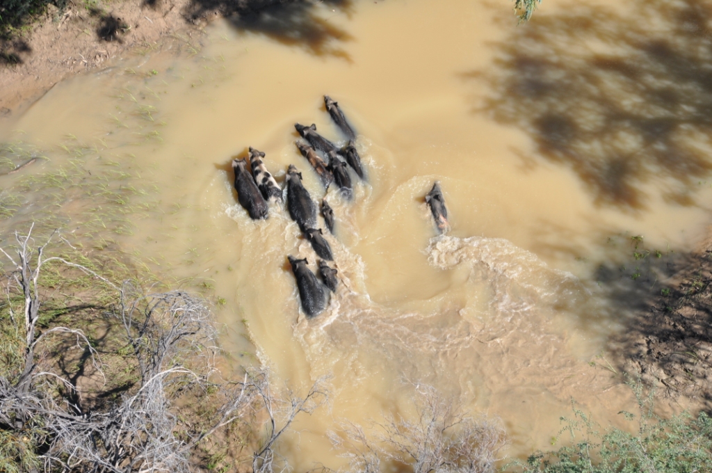 Ten new projects launched under Queensland’s NRM Expansion Program