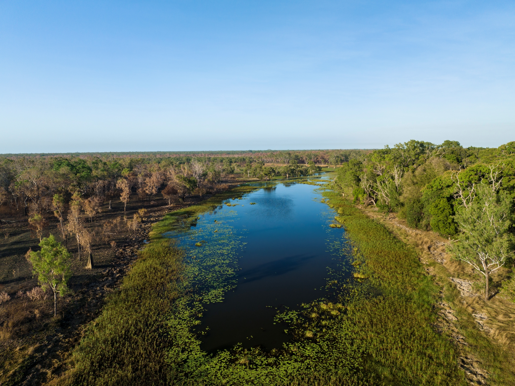 NRM Expansion Program protecting Queensland’s wetlands