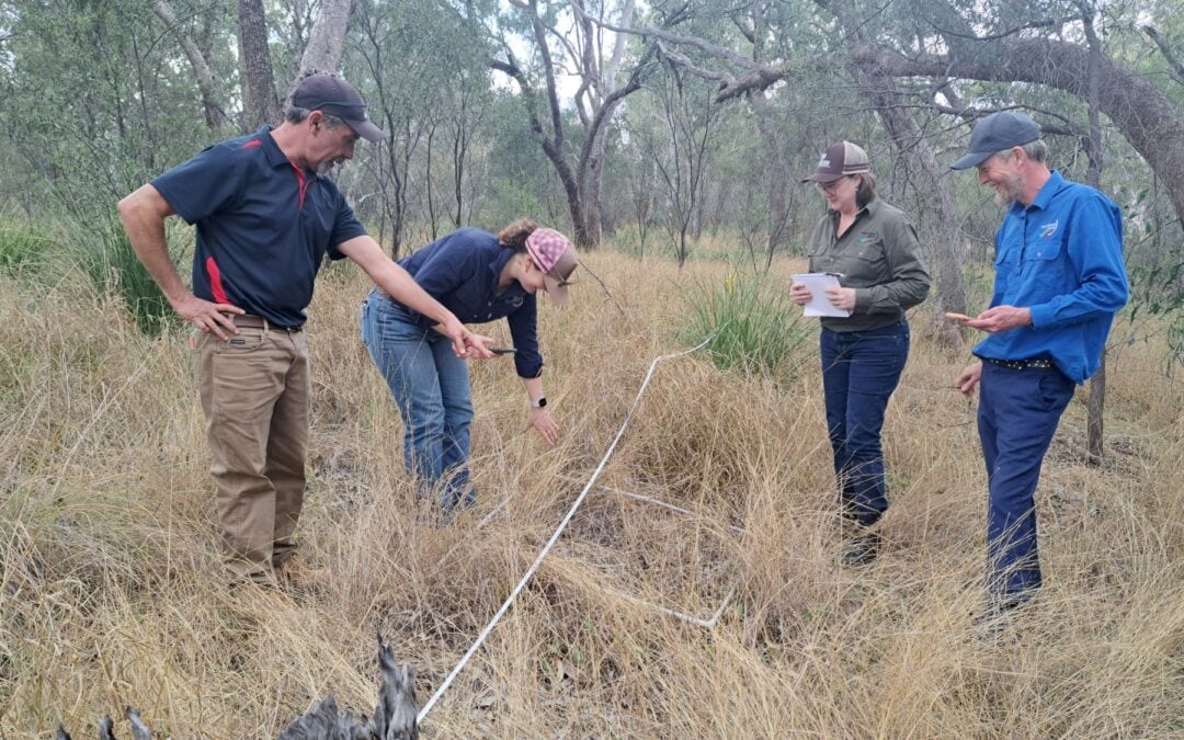 Telling the story of impact: The SWIF Dashboard