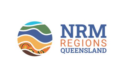 Director – Strategy & Policy