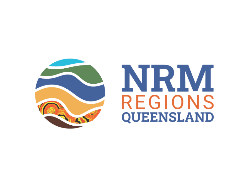 Director – Strategy & Policy