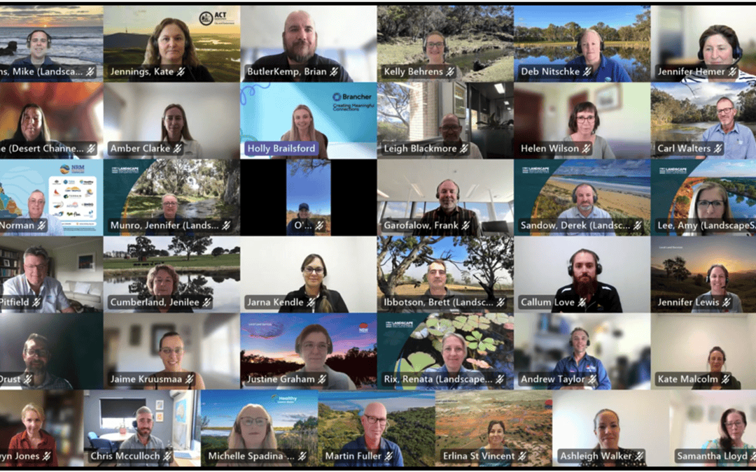 National NRM Mentoring Program completes successful first year