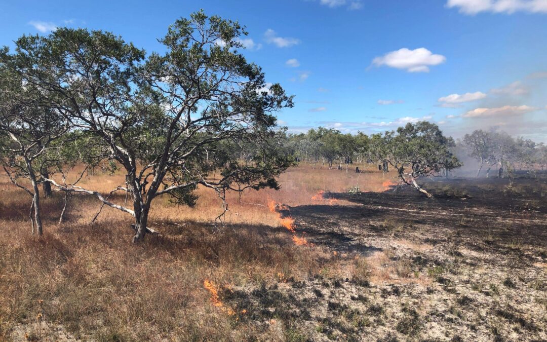 FireCAT: Measuring the impact of fire management projects