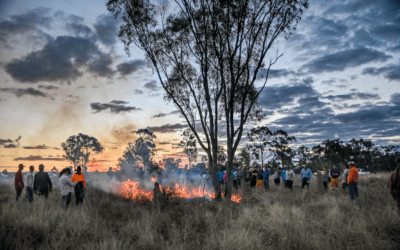 Delivering for Queensland’s Protected Area Estate